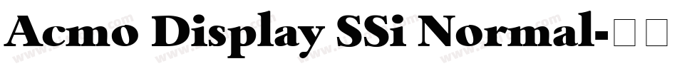 Acmo Display SSi Normal字体转换